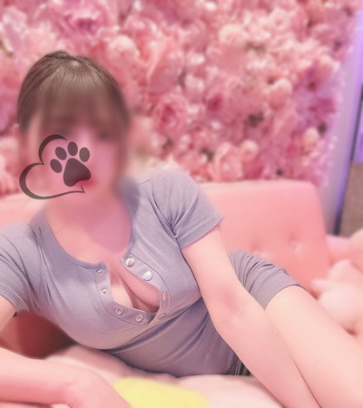 わんさんの写真
